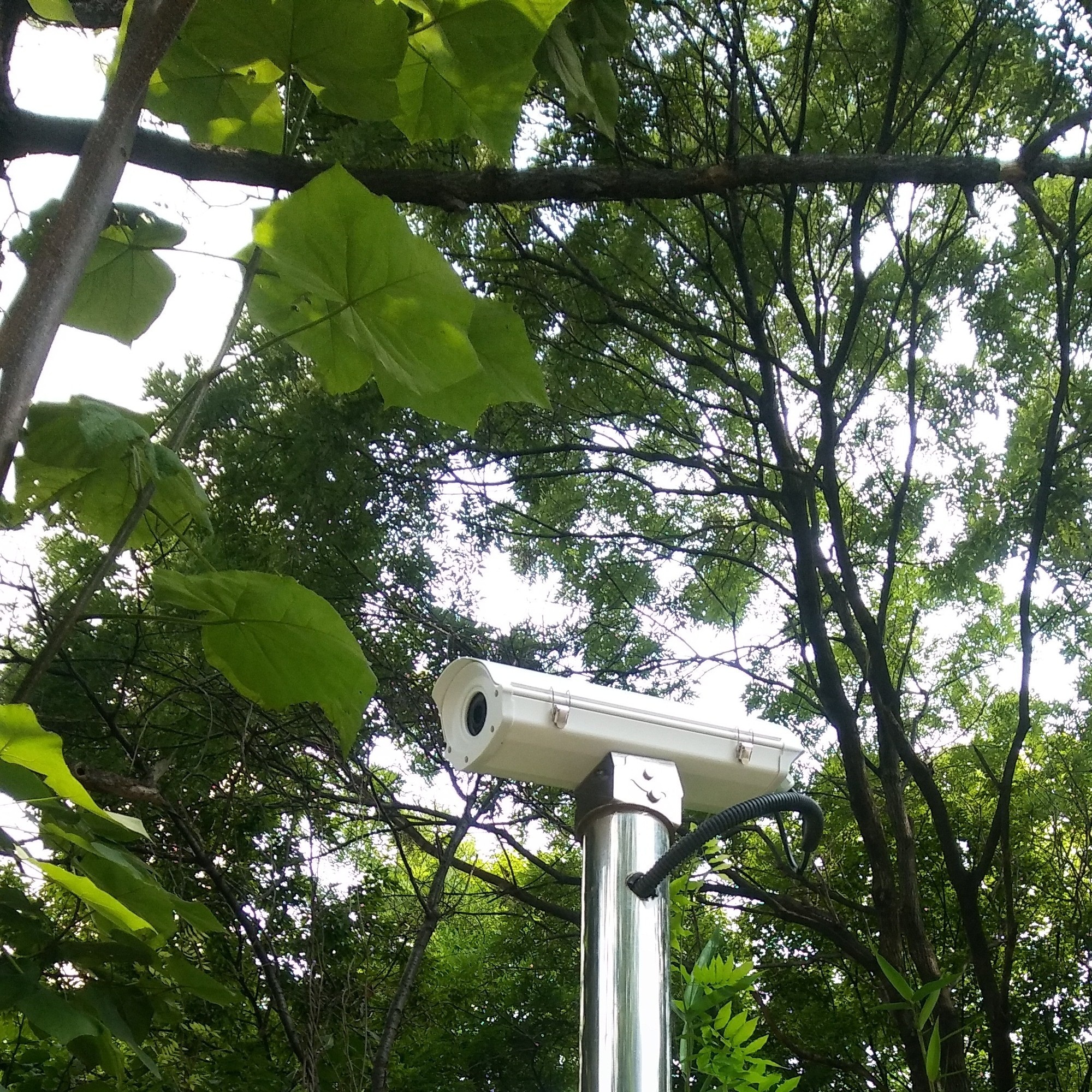 2084193093_2OzvcKjn_8451bf558dc223cb027e118ff0139461e4ea0f25.jpg 이미지크게보기